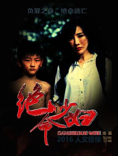 绝命少妇分集剧情