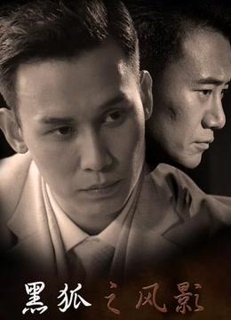 黑狐之风影分集剧情