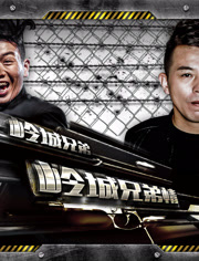 岭城兄弟情分集剧情