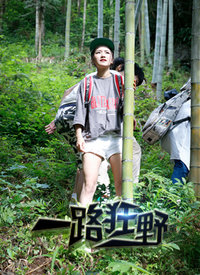 一路狂野分集剧情