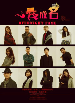 一夜成名分集剧情