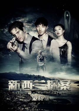 新西兰探案之枭将级分集剧情