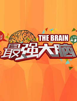 最强大脑第四季