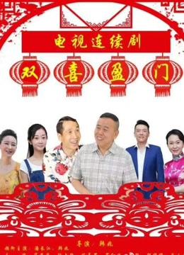 双喜盈门分集剧情