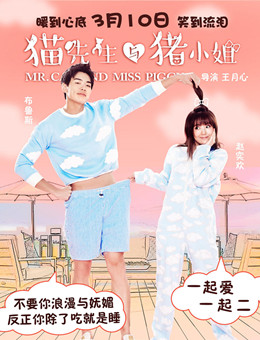 猫先生与猪小姐分集剧情