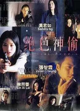 绝色神偷分集剧情