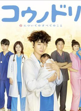 产科医鸿鸟分集剧情