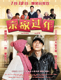 亲家过年分集剧情