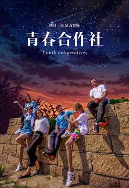 青春合作社分集剧情