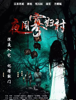 夜闯寡妇村分集剧情