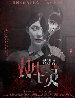 双生灵分集剧情