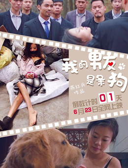 我的男友是条狗分集剧情