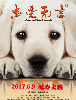 忠爱无言 忠爱无言