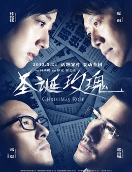 圣诞玫瑰分集剧情