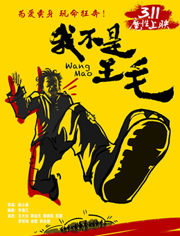 我不是王毛分集剧情