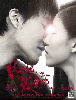 对不起，我爱你分集剧情