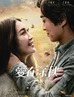 爱在深秋分集剧情