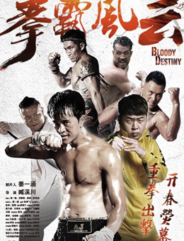 拳霸风云分集剧情