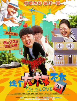 这个大叔不太囧分集剧情