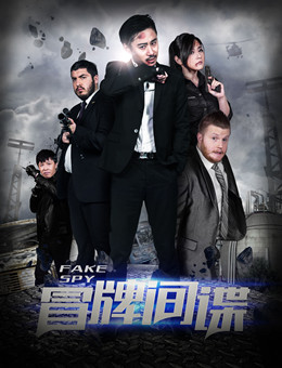 冒牌间谍分集剧情