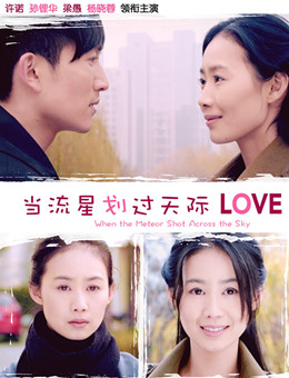 当流星划过天际分集剧情