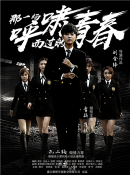 那一场呼啸而过的青春分集剧情