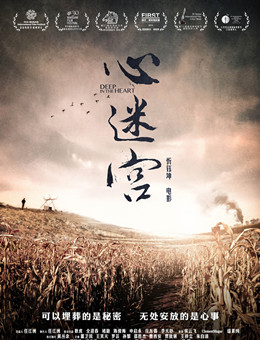 心迷宫分集剧情