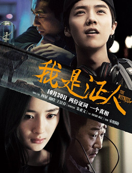 我是证人分集剧情