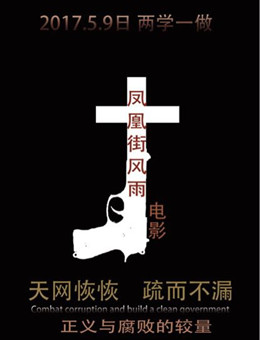 凤凰街风雨分集剧情