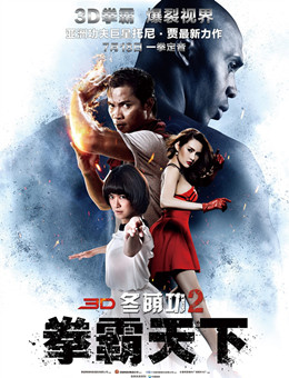 冬荫功2:拳霸天下分集剧情