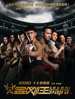 金刚王分集剧情