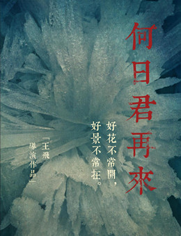 何日君再来分集剧情