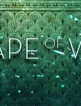 水的形状分集剧情