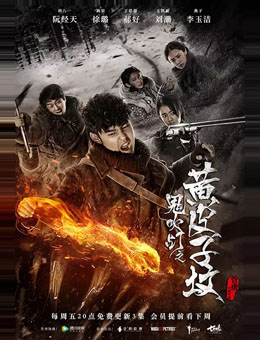 鬼吹灯之黄皮子坟