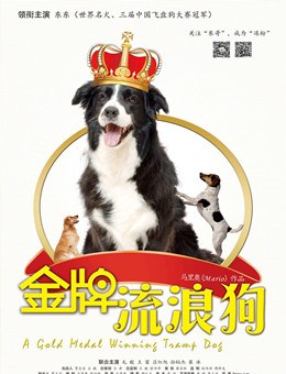 金牌流浪狗