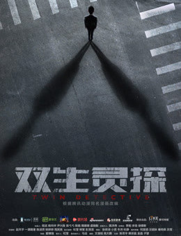 双生灵探分集剧情