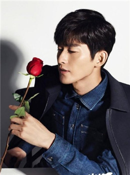 冰冻玫瑰分集剧情