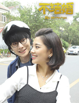 不结婚分集剧情