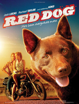 红犬历险记分集剧情