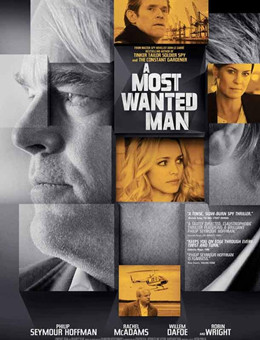 最高通缉犯分集剧情