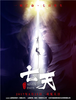 七天分集剧情