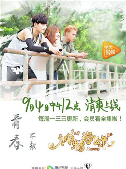 神精学妹分集剧情