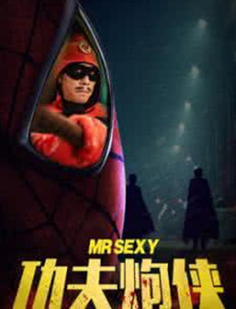 功夫炮侠分集剧情