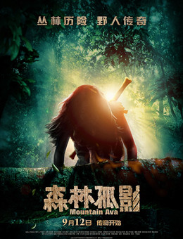 森林孤影分集剧情