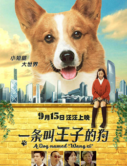 一条叫王子的狗