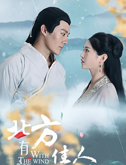 北方有佳人分集剧情