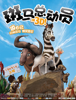 斑马总动员分集剧情