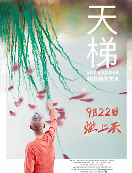 天梯：蔡国强的艺术分集剧情