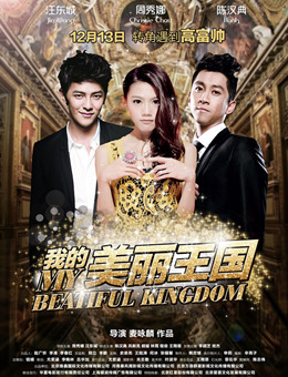 我的美丽王国分集剧情