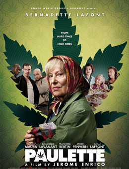 美味毒妇分集剧情